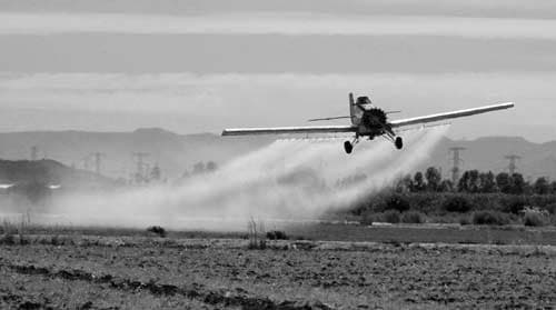 How Not To Get Sick In The Imperial Valley