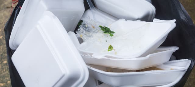 San Diego City Bans Polystyrene Foam Containers