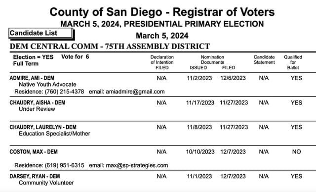 Dem Party Candidates Use Misleading Job Titles on Ballot